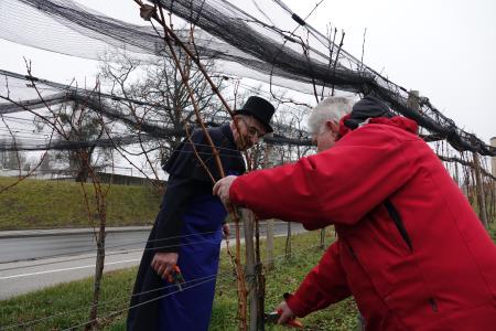 januar 2025 vicekova rez (112)